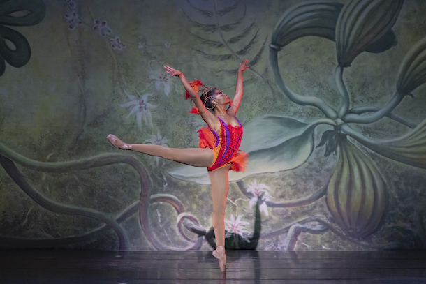 "FireBird" de John Tarras © Rachel Papo