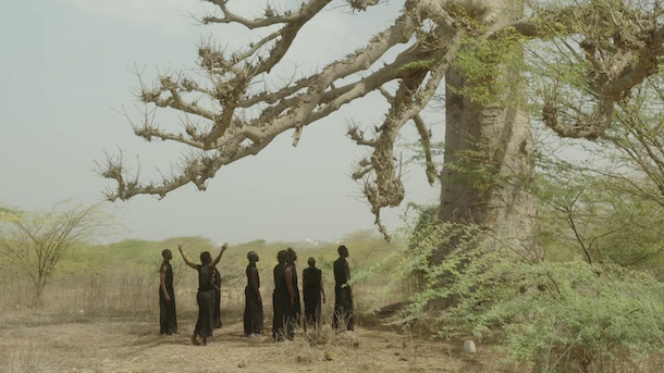 Germaine Acogny, l’essence de la danse de Greta-Marie Becker © D.R